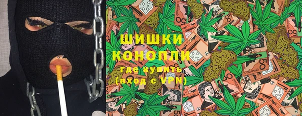 индика Лабытнанги