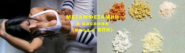 индика Лабытнанги