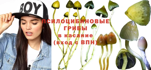 индика Лабытнанги