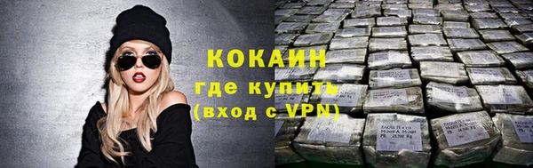 индика Лабытнанги