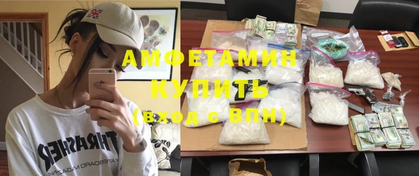 индика Лабытнанги