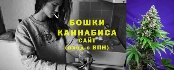 индика Лабытнанги