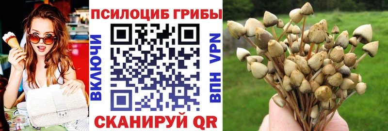 даркнет сайт Талица Псилоцибиновые грибы Psilocybine cubensis