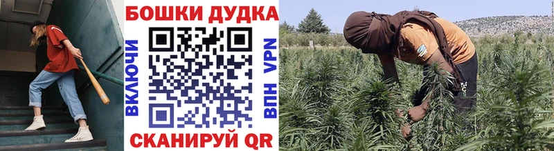 как найти наркотики  Талица  МАРИХУАНА планчик 